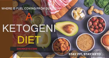 Ketogenic Diet: Where Does the Body's Fuel Come From?