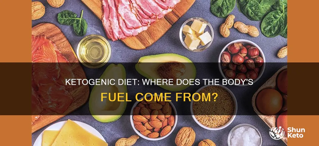 where is fuel coming from during a ketogenic diet