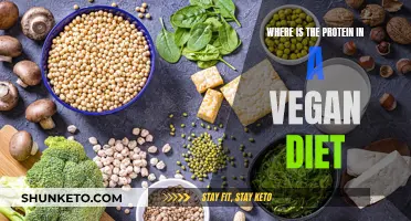 Vegan Protein Sources: Where to Find Them