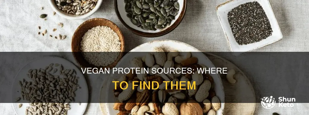 where is the protein in a vegan diet