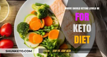 Optimal Ketone Levels for Keto Diet Success: What You Need to Know