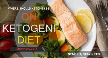 Ketogenic Diet: Testing Ketones for Optimal Results