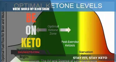 Blood Sugar Control on Keto: What's the Ideal Range?