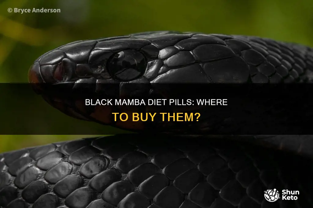 where to buy black mamba diet pills