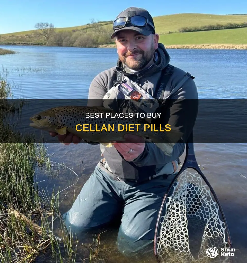 where to buy cellan diet pills