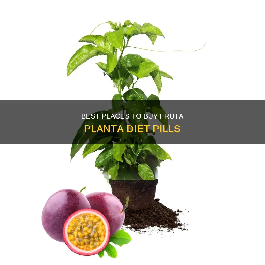 where to buy fruta planta diet pills