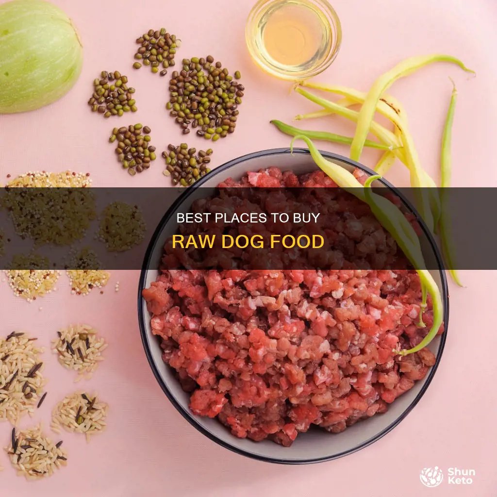 where to buy raw diet for dogs