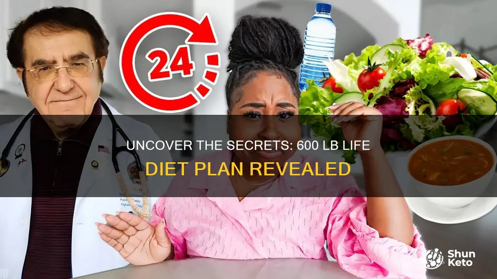 where to find 600 lb life diet plan