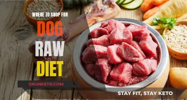 Raw Diet Shopping: Best Places for Dog Owners