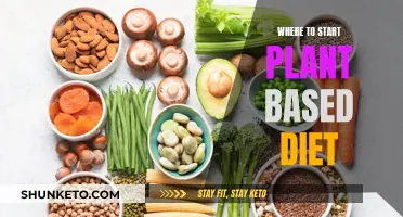 Plant-Based Diet: Getting Started and Staying Motivated