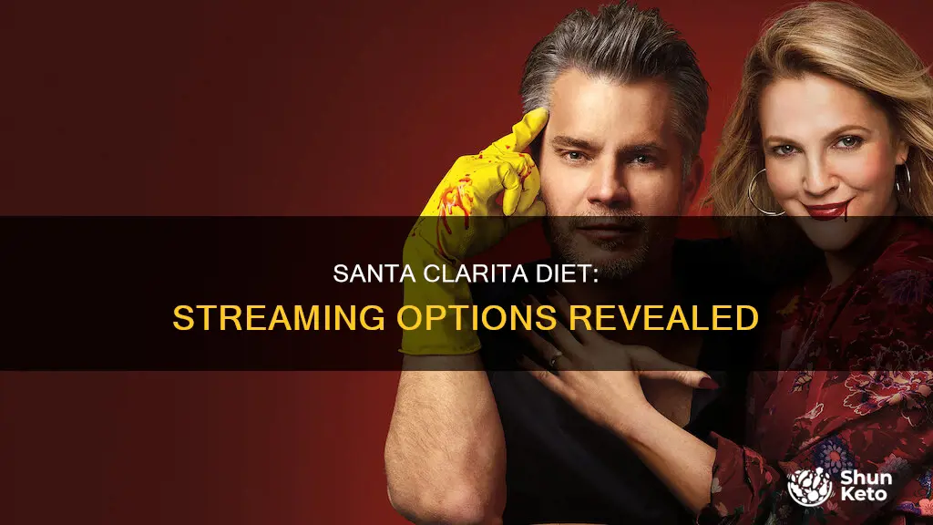 where to watch santa clarita diet