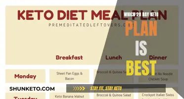 Finding the Right 28-Day Keto Plan for You