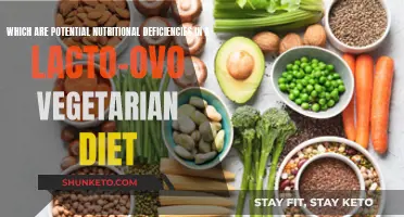 Potential Nutritional Deficits in Lacto-ovo Vegetarian Diets Explained