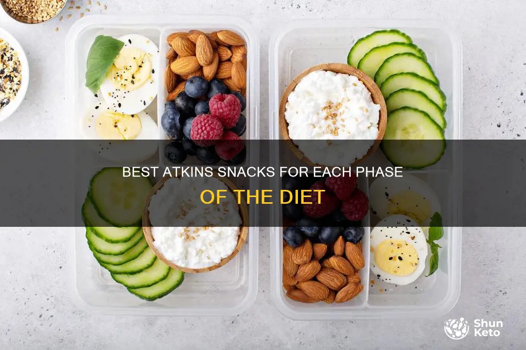 which atkins snacks to have during a atkins diet phases