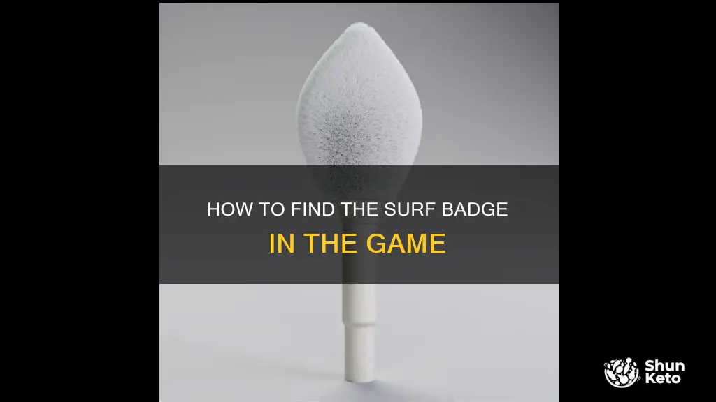 which badge kets you use surf