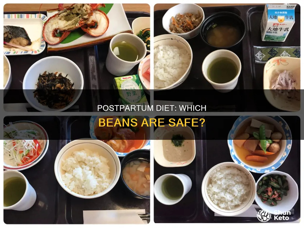 which beans are ok for postpartum diets
