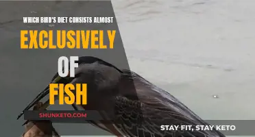 Which Birds Have a Taste for Fish?