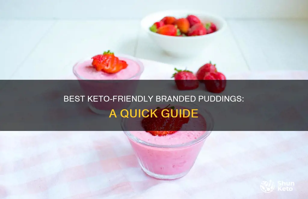 which brand pudding is okay on keto