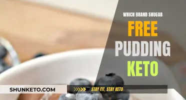 Best Sugar-Free Pudding Brands for Your Keto Diet