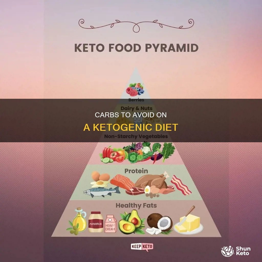 which carbs do you check on ketogenic diet
