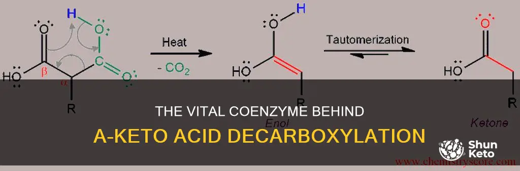 which coenzyme is used for the decarboxylation of a-keto acids