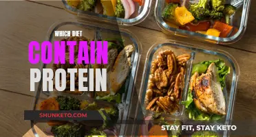 Protein-rich Diets: What to Eat and Why