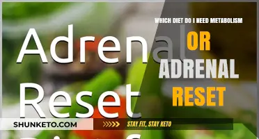 Metabolism and Adrenal Reset Diets: What's Best for You?