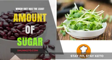 Sugar-Free Diets: Which One Has the Least Sugar?