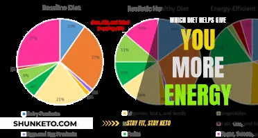 Best Diets to Boost Your Energy Levels