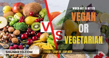 Vegan vs. Vegetarian: Which Diet Offers Superior Health Benefits?