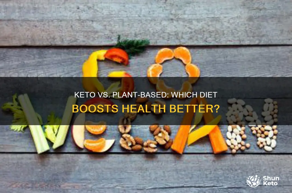 which diet is healthier keto or plant based