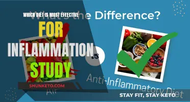 Inflammation Study: Best Diet Plans for Reducing Inflammation