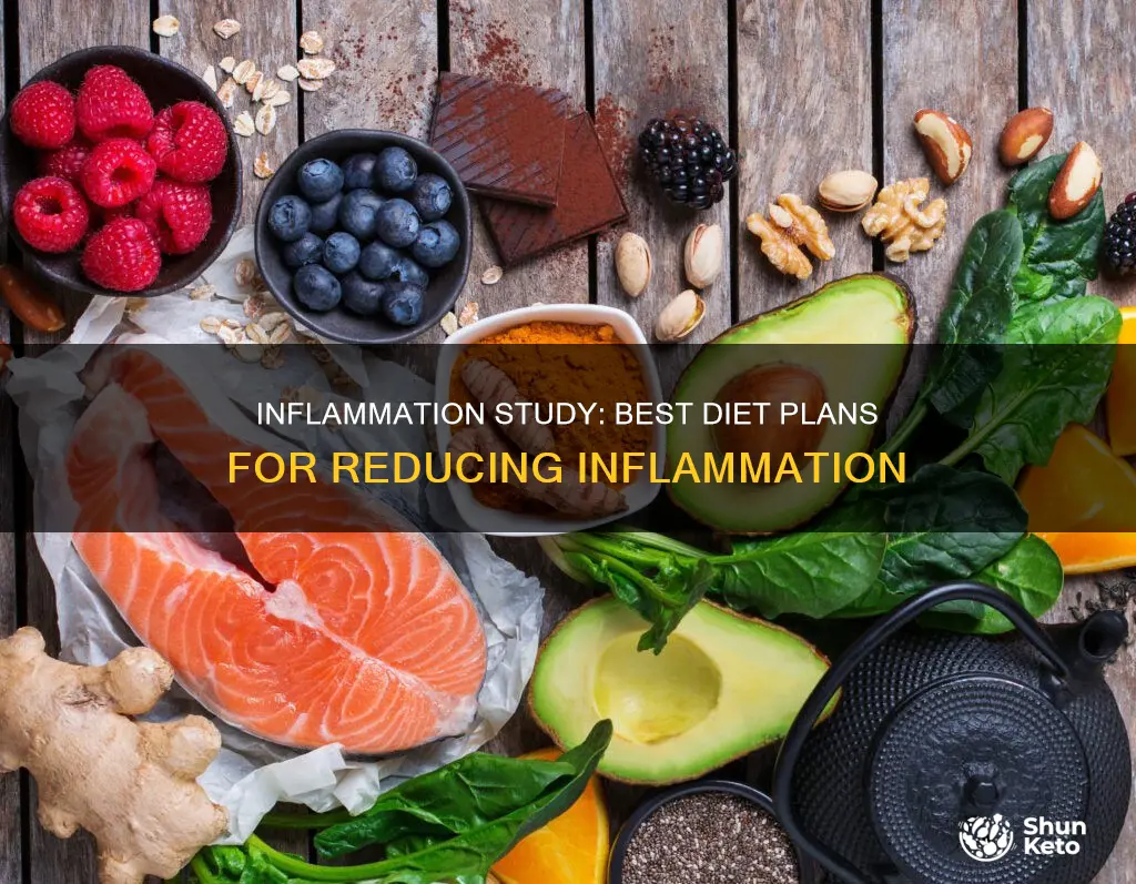 which diet is most effective for inflammation study