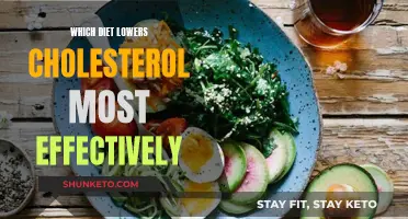 Cholesterol-Lowering Diets: What Works?