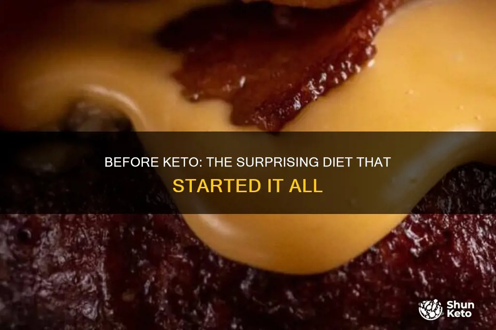 which diet preceded keto fad