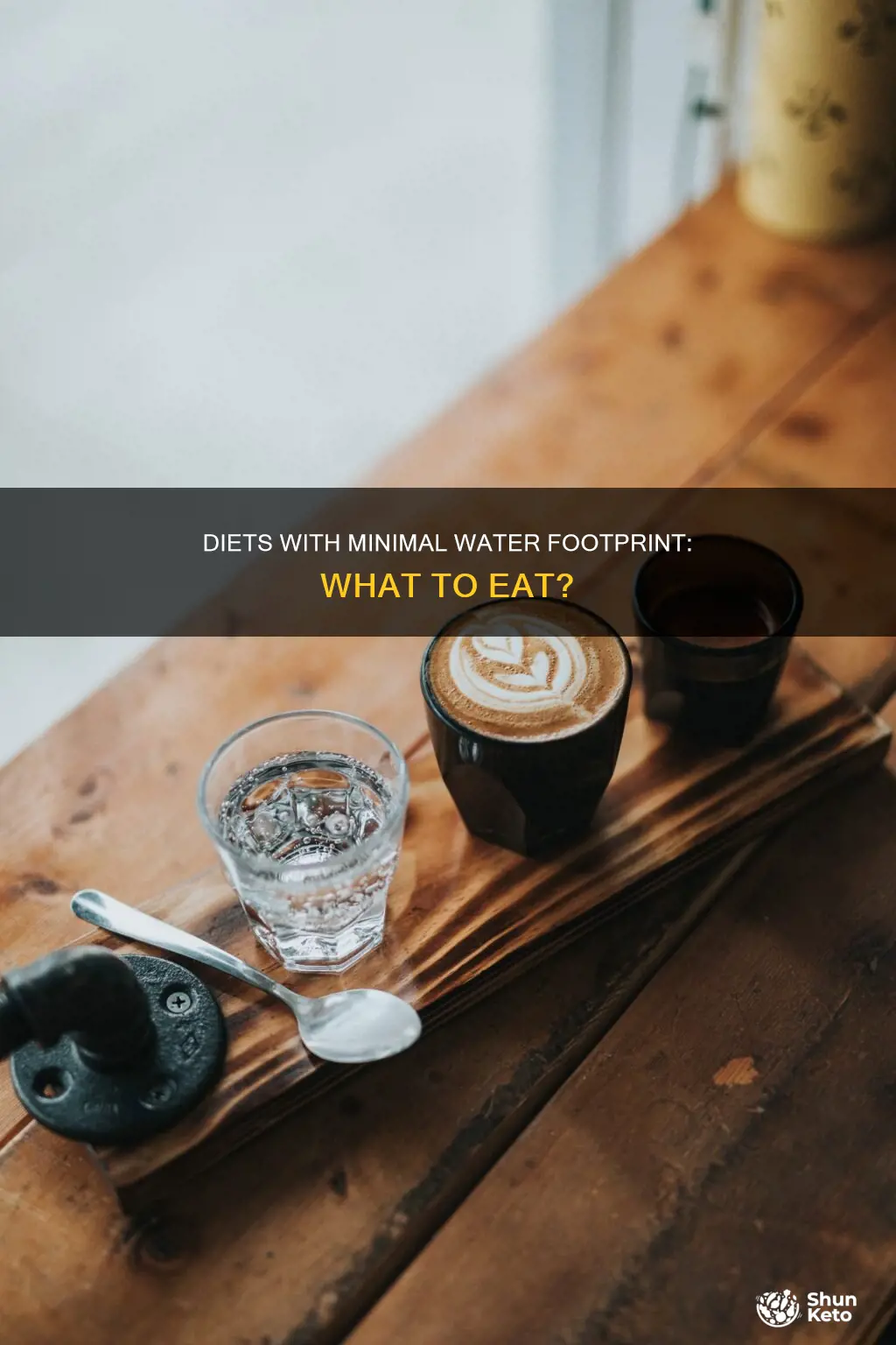 which diet uses least water