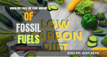 Fossil Fuels and Diets: What's the Greenest Eating Habit?