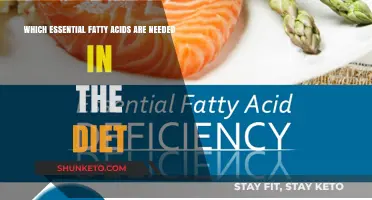 The Essential Fatty Acids Your Diet Needs