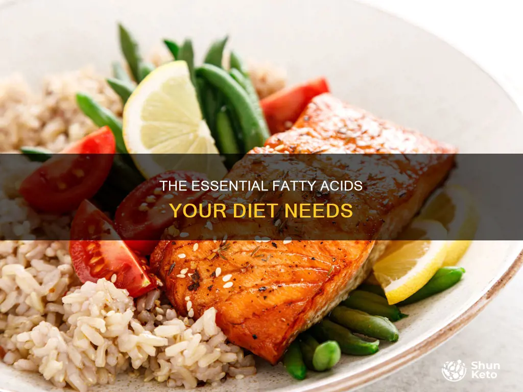which essential fatty acids are needed in the diet
