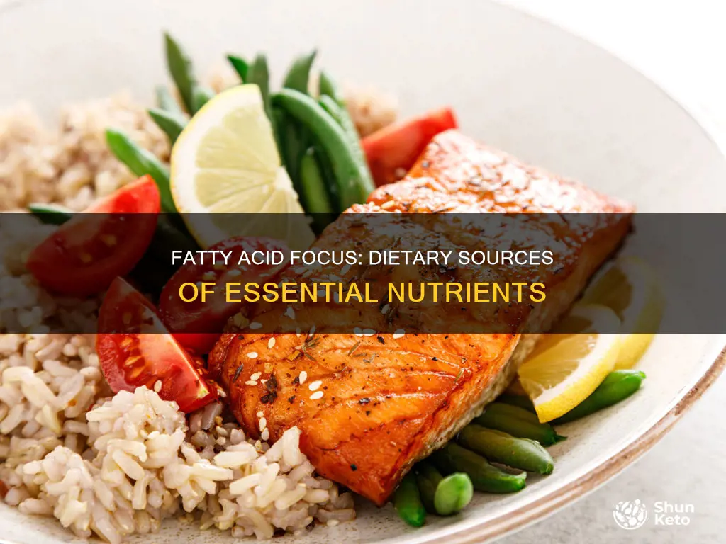 which fatty acid needs to be obtained through diet
