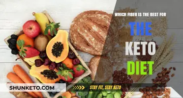 Top Keto-Friendly Fibers for Optimal Low-Carb Digestive Health