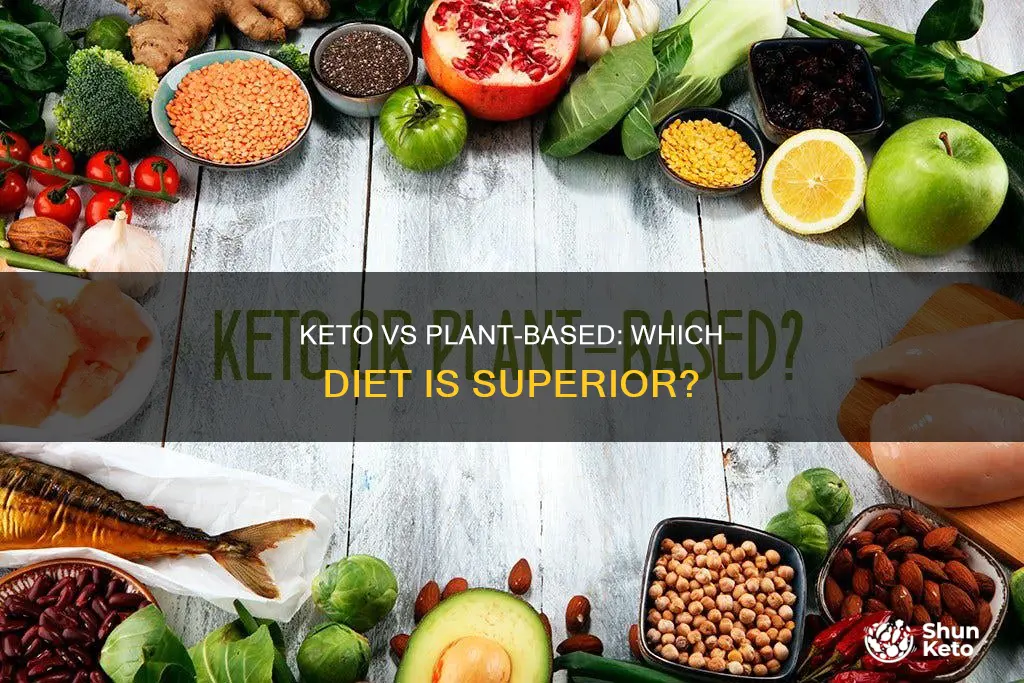 which food plan best keto or plant based