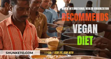 Vegan Diets: Recommended by Global Health Organizations?