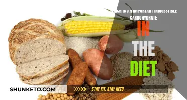 The Power of Indigestible Carbohydrates in Your Diet
