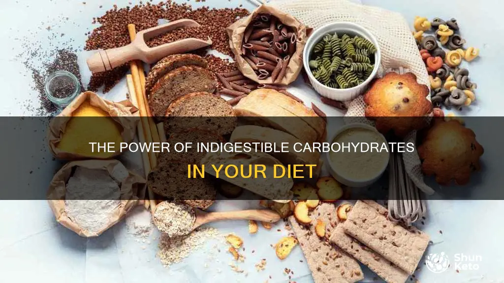 which is an important indigestible carbohydrate in the diet