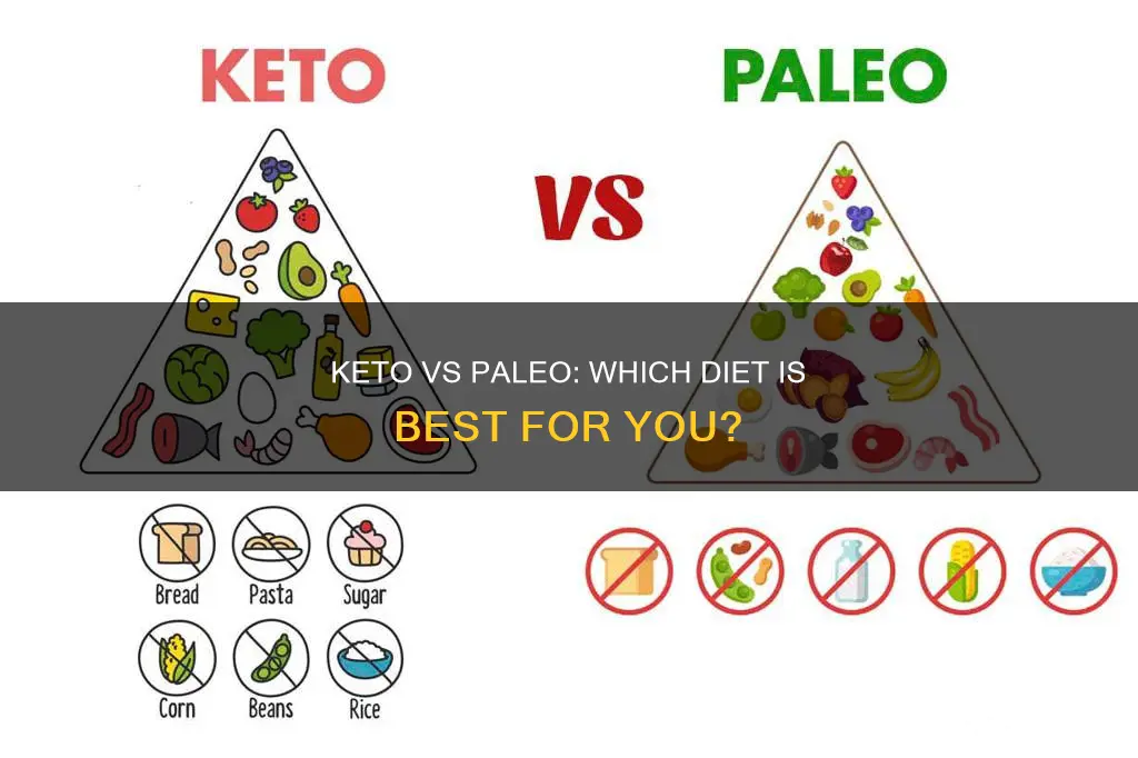 which is best keto or paleo