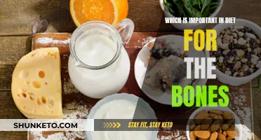 Bone Health: The Role of Diet and Nutrition