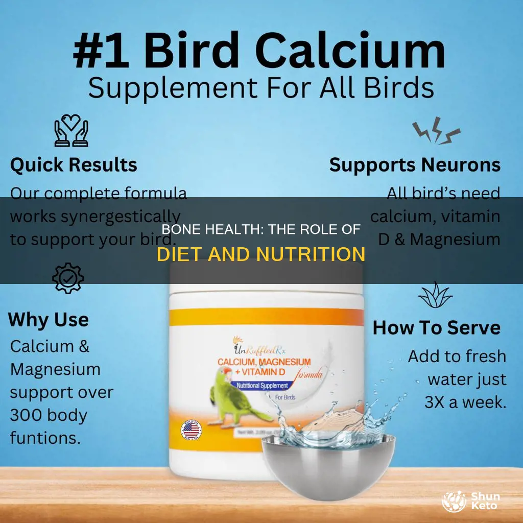 which is important in diet for the bones