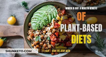 Plant-Based Diets: Health Risks and Drawbacks