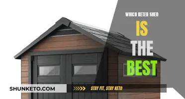 Best Keter Sheds: Top Picks for Your Backyard